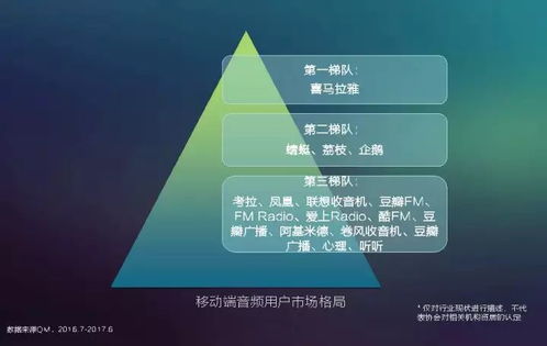 2017中國網(wǎng)絡(luò)視聽發(fā)展報(bào)告 用戶付費(fèi)意識(shí)崛起與網(wǎng)生內(nèi)容品質(zhì)化轉(zhuǎn)型