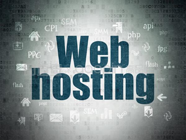 數(shù)字?jǐn)?shù)據(jù)紙背景下的網(wǎng)絡(luò)開(kāi)發(fā)與網(wǎng)絡(luò)托管概念解析